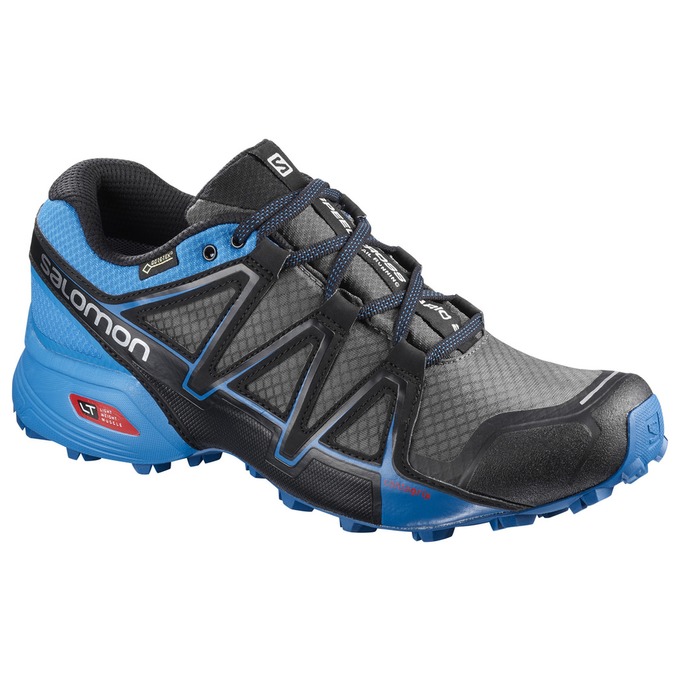 Buty Do Biegania W Terenie Męskie Salomon SPEEDCROSS VARIO 2 GTX® - Srebrne / Niebieskie - Polska (8